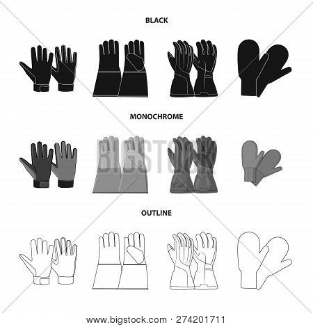 Vector Design Of Glove And Winter Icon. Set Of Glove And Equipment Stock Vector Illustration.