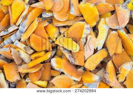 Organic Fresh Yellow Turmeric Nature Background. Herbal