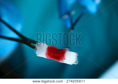 Surgeon In Sterile Uniform Arms Holding And Passing To Colleague Tools With Bio Material Wad Closeup