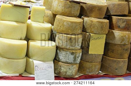 Italian Cheeses And The Text Pecorino That Means Made From Milk