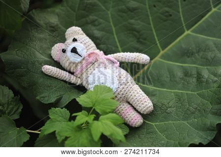 Amigurumi Toy. Teddybear