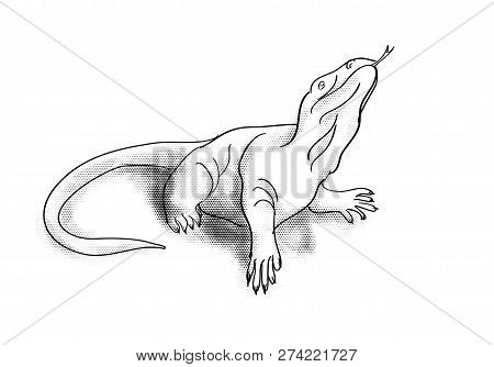 Monitor Lizard Isolated On A White Background