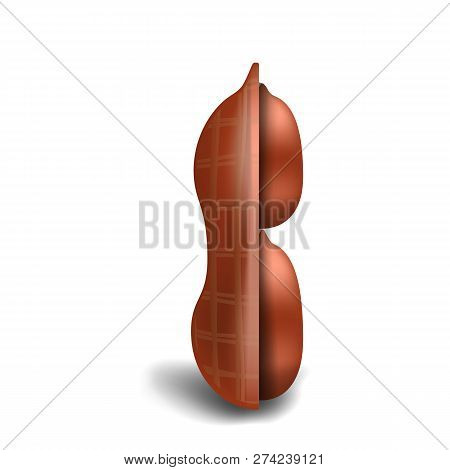 Half Peanut In Shell Icon. Realistic Illustration Of Half Peanut In Shell Vector Icon For Web Design