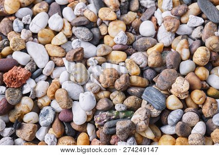 Mixed Of Multi-color Of Pebble Stones In Different Size Background. Closeup, Top View.