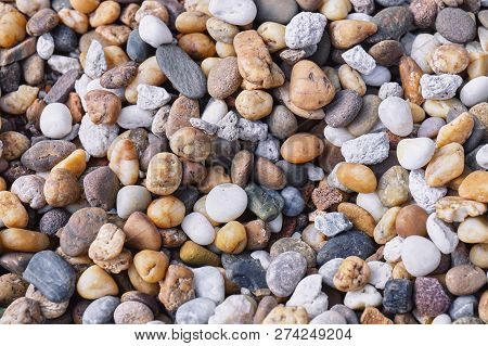 Mixed Of Multi-color Of Pebble Stones In Different Size Background. Closeup, Top View.