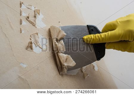 Cleaning The Wall From Old Wallpaper