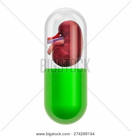 Treatments And Medicines For Kidney Disease Concept, 3d Rendering Isolated On White Background