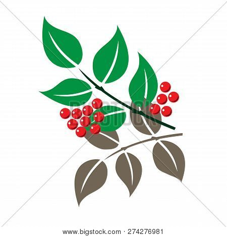 Simple Graphic Drawing With A String Of Berries And Leaves, Stylized Rowan