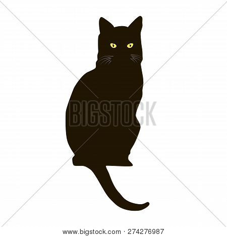 Silhouette Of A Black Cat With Bright Eyes