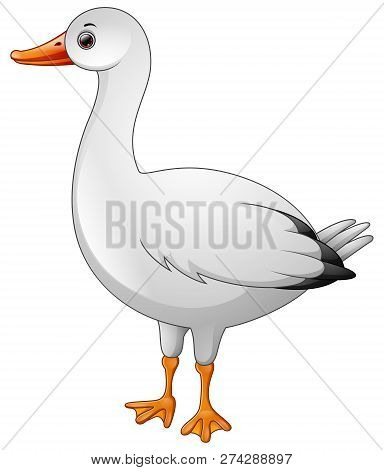 Cute And Funny Baby  White Goose Cartoon Standing