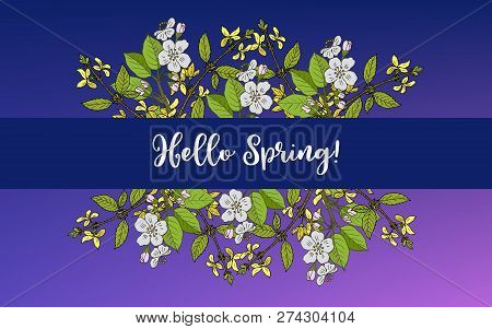 Spring Blossom Card With Apple Branch And Forsythia, Vector Illustration