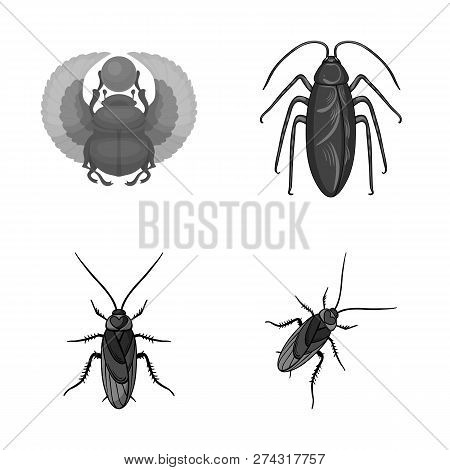 Vector Design Of Insect And Beetle Icon. Set Of Insect And Halloween Vector Icon For Stock.