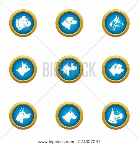 Pooch Icons Set. Flat Set Of 9 Pooch Icons For Web Isolated On White Background