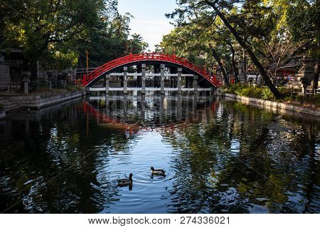 Beautiful Red Japanese Bridge Over Calm Water With Ducks