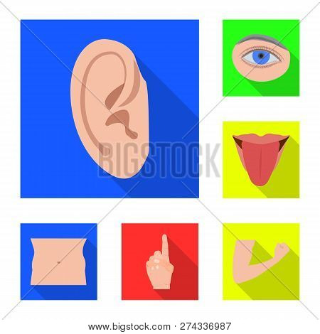 Isolated Object Of Human And Part Icon. Collection Of Human And Woman Vector Icon For Stock.