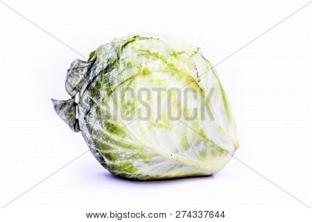Close Up Of Fresh Organic Cabbage Or Gobi Or Patta Gobi Or Brassica Oleracea Var. Capitata Isolated