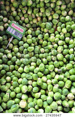 Couves de Bruxelas para venda