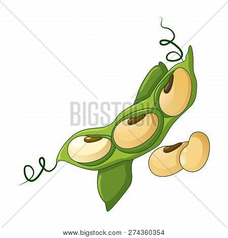 Green Beans Icon. Cartoon Of Green Beans Icon For Web Design Isolated On White Background