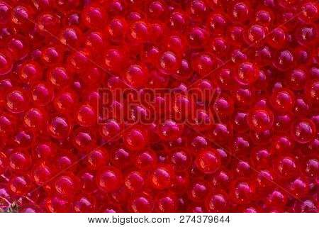 Water Red Gel Balls With Bokeh. Polymer Gel. Silica Gel. Balls Of Red Hydrogel. Crystal Liquid Ball 