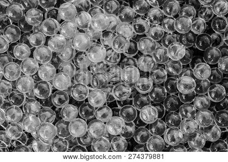 Water Black And White Gel Balls With Bokeh. Polymer Gel. Silica Gel. Balls Of Black And White Hydrog