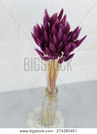 Bunny(rabbit) Tail Grass, Lagurus Dry Flower Bouquet On Wooden Background