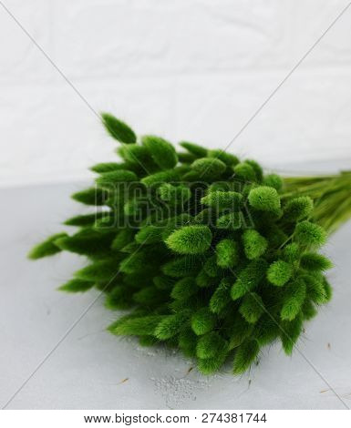 Bunny(rabbit) Tail Grass, Lagurus Dry Flower Bouquet On Wooden Background