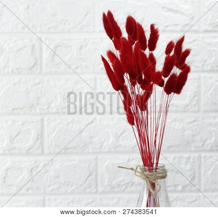 bunny(rabbit) tail grass, lagurus dry flower bouquet on wooden background
