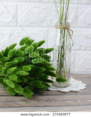 Bunny(rabbit) Tail Grass, Lagurus Dry Flower Bouquet On Wooden Background
