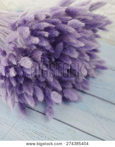 Bunny(rabbit) Tail Grass, Lagurus Dry Flower Bouquet On Wooden Background