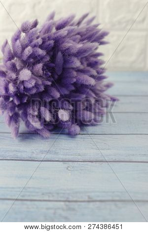 Bunny(rabbit) Tail Grass, Lagurus Dry Flower Bouquet On Wooden Background