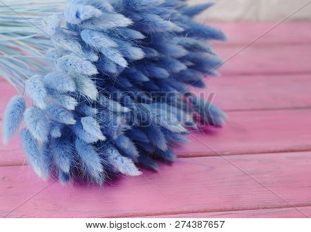 Bunny(rabbit) Tail Grass, Lagurus Dry Flower Bouquet On Wooden Background