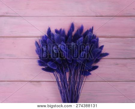 Bunny(rabbit) Tail Grass, Lagurus Dry Flower Bouquet On Wooden Background
