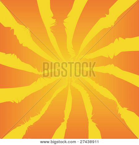 Sunburst vektor