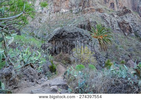 Maska Ravine, Cliffs, Tenerife. Trail In The Gorge Maska