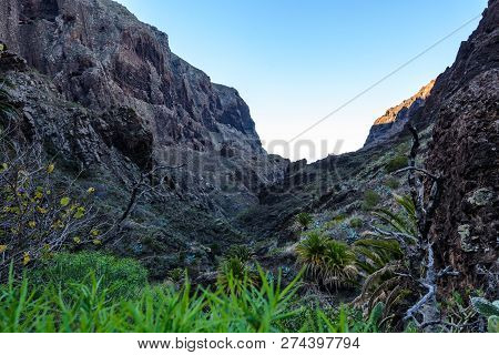 Maska Ravine, Cliffs, Tenerife. Trail In The Gorge Maska