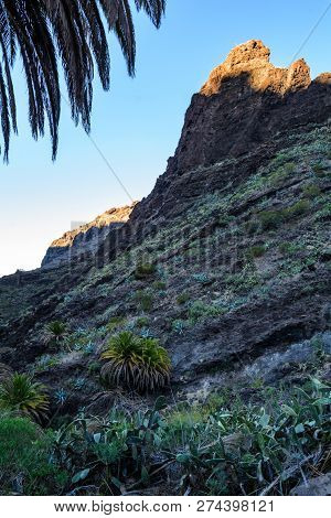 Maska Ravine, Cliffs, Tenerife. Trail In The Gorge Maska