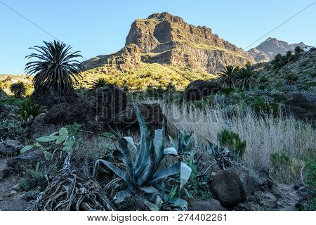 Maska Ravine, Cliffs, Tenerife. Trail In The Gorge Maska