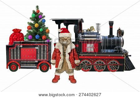 The Cat In A Santa Claus Outfit Stays Near The Red Train With A Christmas Tree And A Red Bag Of Gift