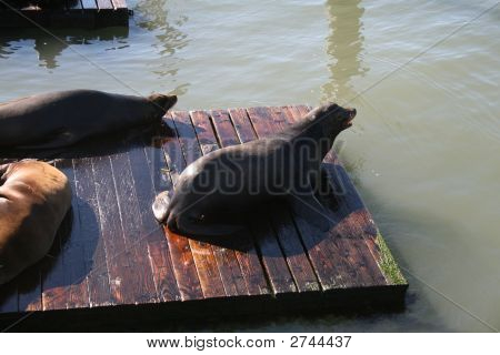 Уплотнения