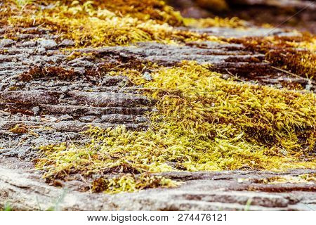 Abstruct Background Of Rocks With Rare Vegetation In Canada.
