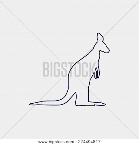 Vector Silhouette Of A Kanguru On A White Background.