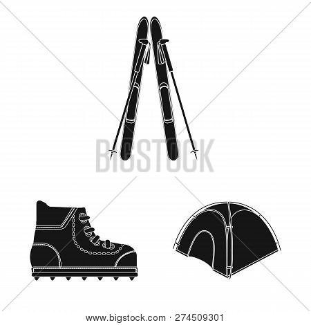 Isolated Object Of Mountaineering And Peak Icon. Collection Of Mountaineering And Camp Stock Vector 