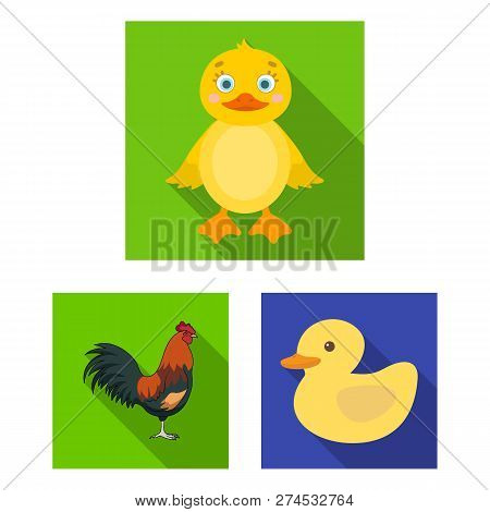 Vector Illustration Of Funny And Poultry Icon. Collection Of Funny And Farming Stock Symbol For Web.
