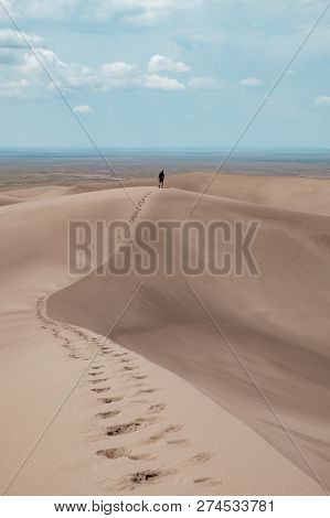 A Man Walking The Giant Sand Dunes At Great Sand Dunes National Park In Colorado, Usa