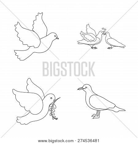 Vector Design Of Flying And Dove Logo. Set Of Flying And Carrier Vector Icon For Stock.