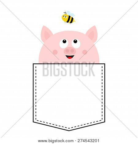 Pig Face Head In The Pocket. Flying Bee. Cute Cartoon Animals. Piggy Piglet Character. Dash Line. Wh
