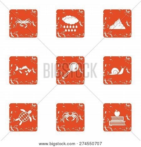 Monitoring Icons Set. Grunge Set Of 9 Monitoring Icons For Web Isolated On White Background