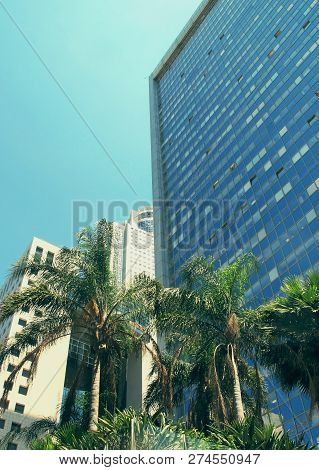 Modern Buildings And Palm Trees Against The Blue Sky In Tel Aviv, Israel