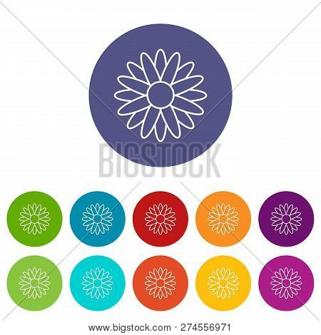 Honey Flower Icons Color Set For Any Web Design On White Background