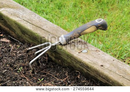 Three Pronged Garden Tool Leaning On Wooden Border Of Backyard Garden.